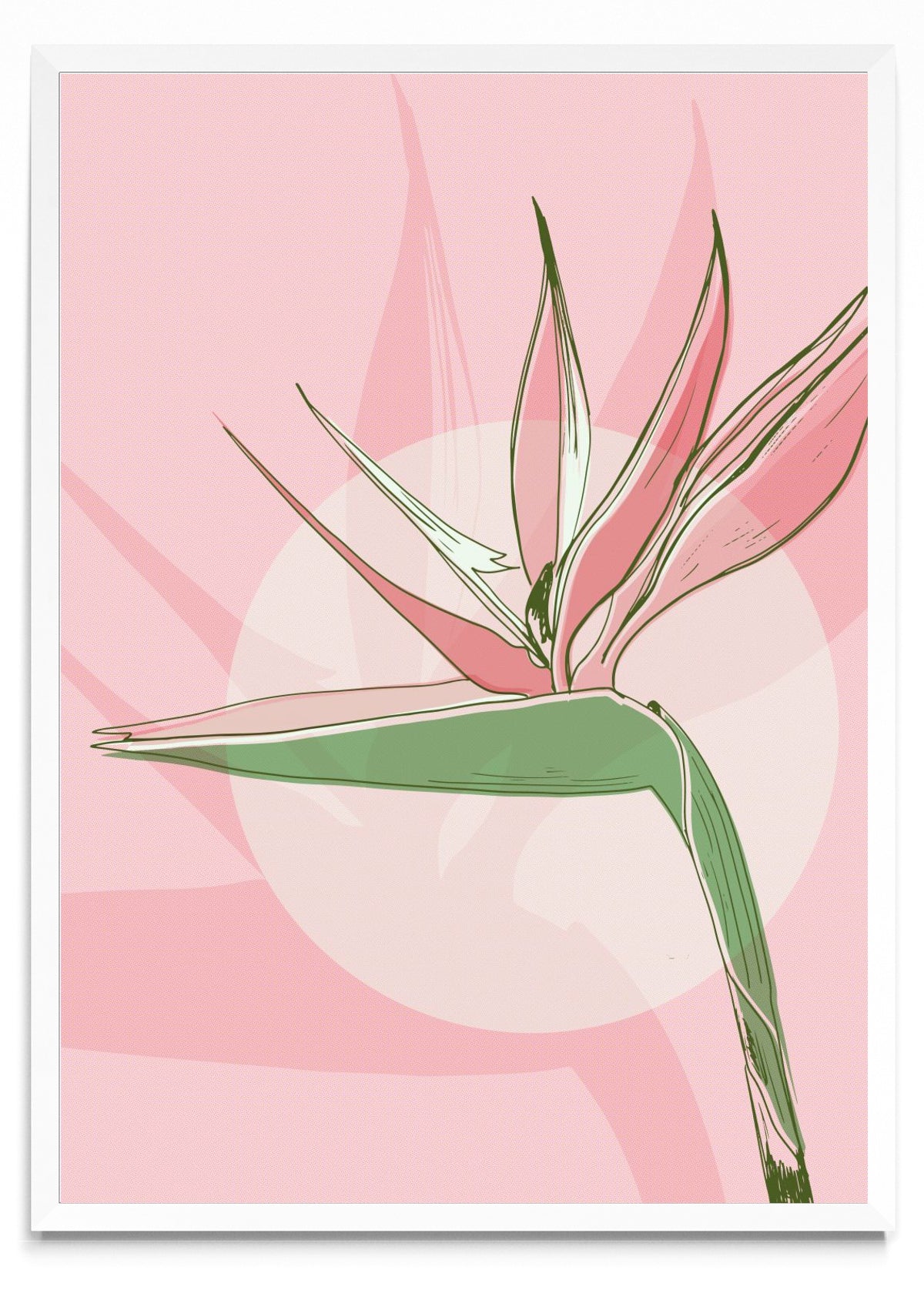 Rosa - Retrato BL