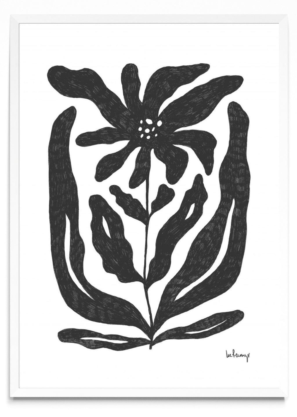Flor casi negra 2 - Retrato BL
