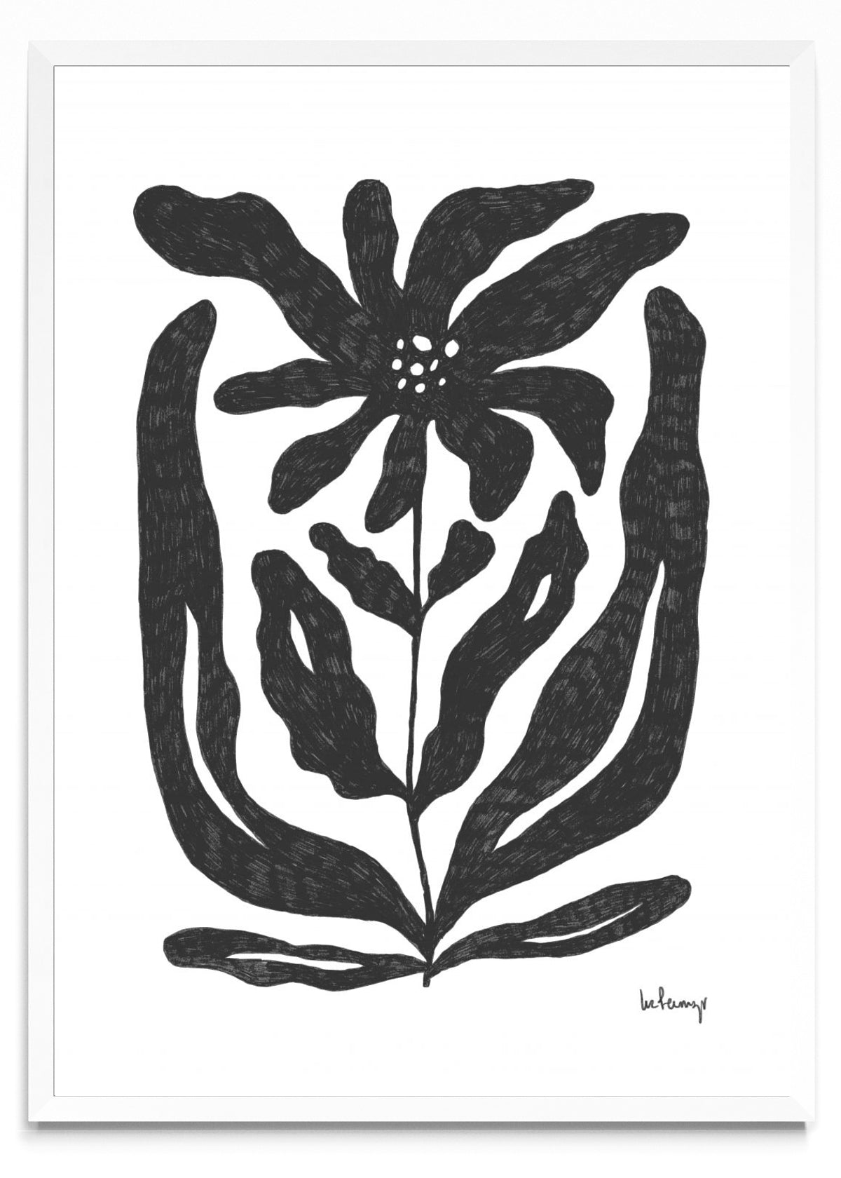 Flor casi negra 2 - Retrato BL
