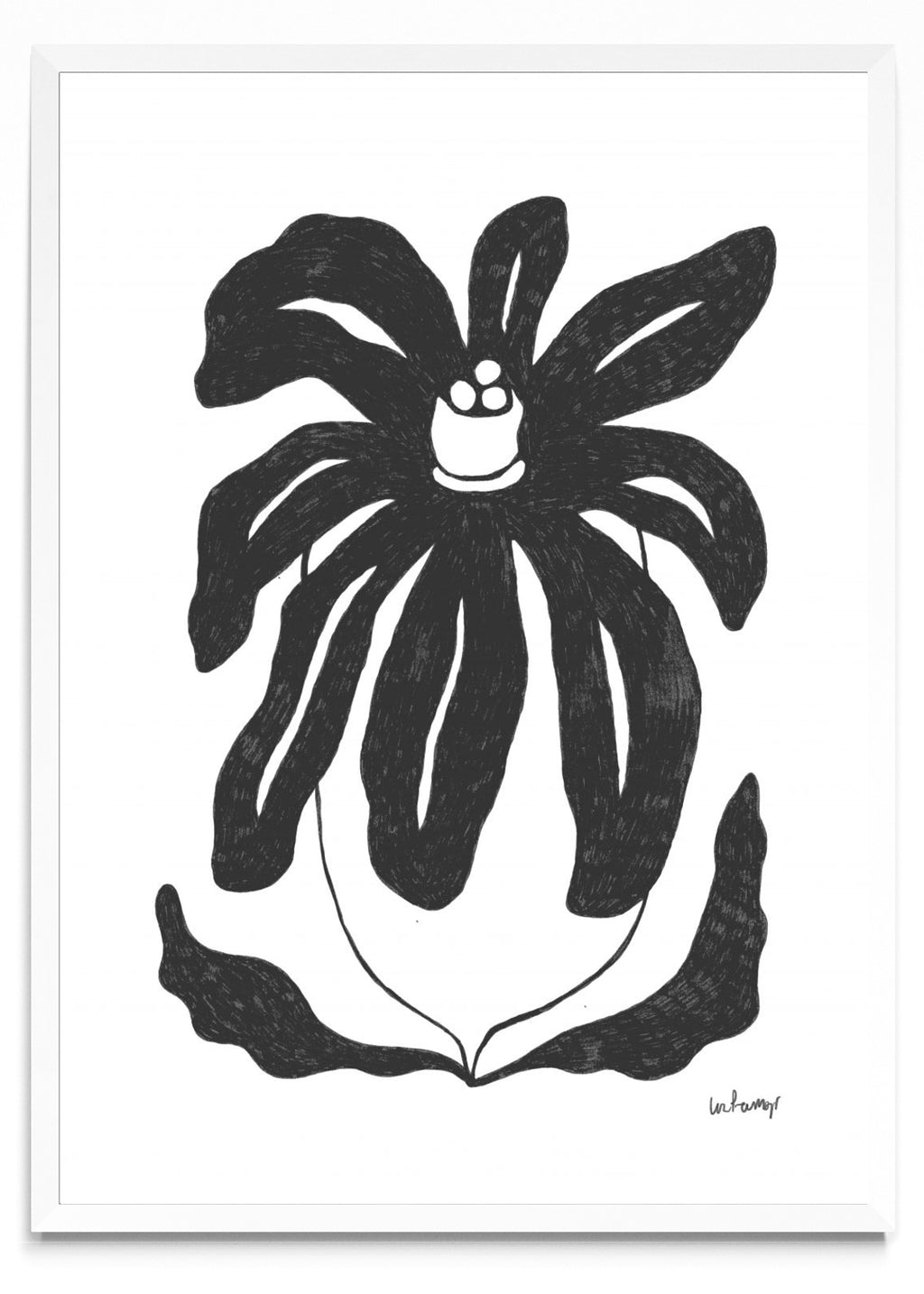 Flor casi negra 3 - Retrato BL