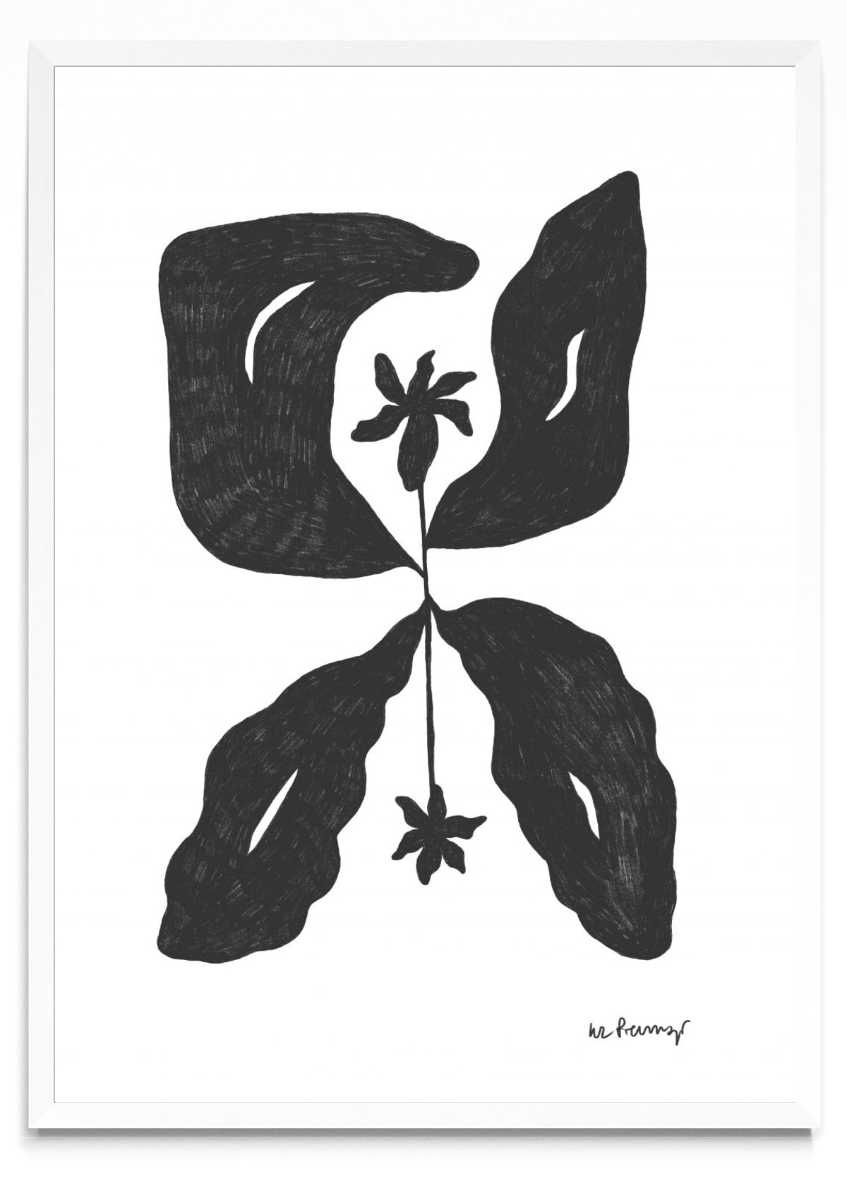 Flor casi negra 6 - Retrato BL