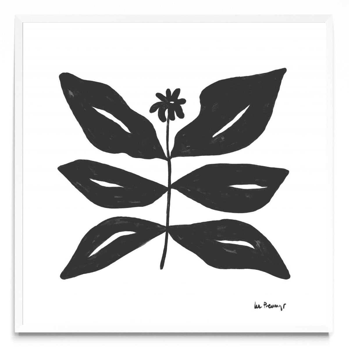 Flor casi negra 8 - Cuadrado BL