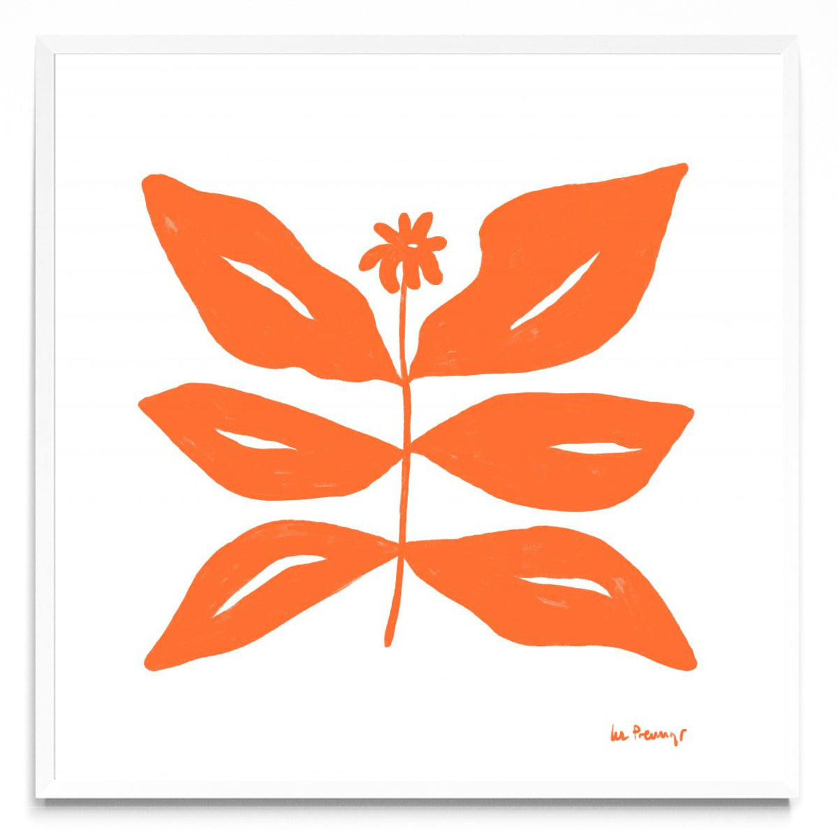 Flor naranja 8 - Cuadrado BL