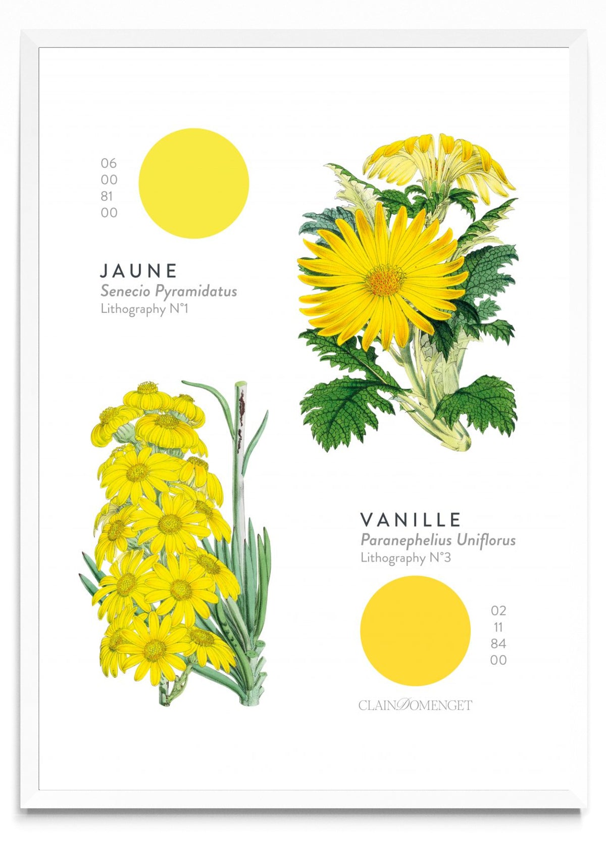 FLEURS ET COULEURS - Retrato BL
