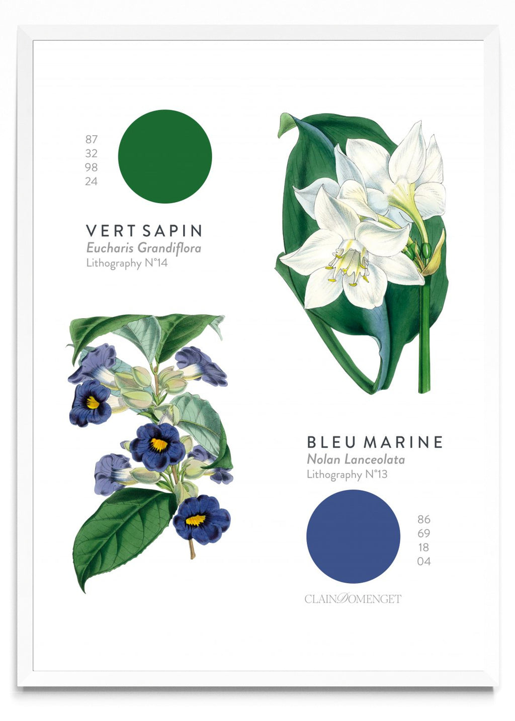 FLEURS ET COULEURS - Retrato BL