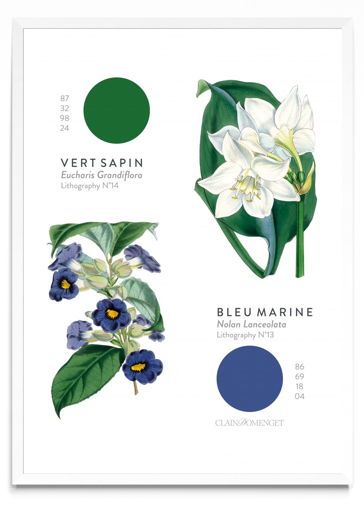 FLEURS ET COULEURS - Retrato BL