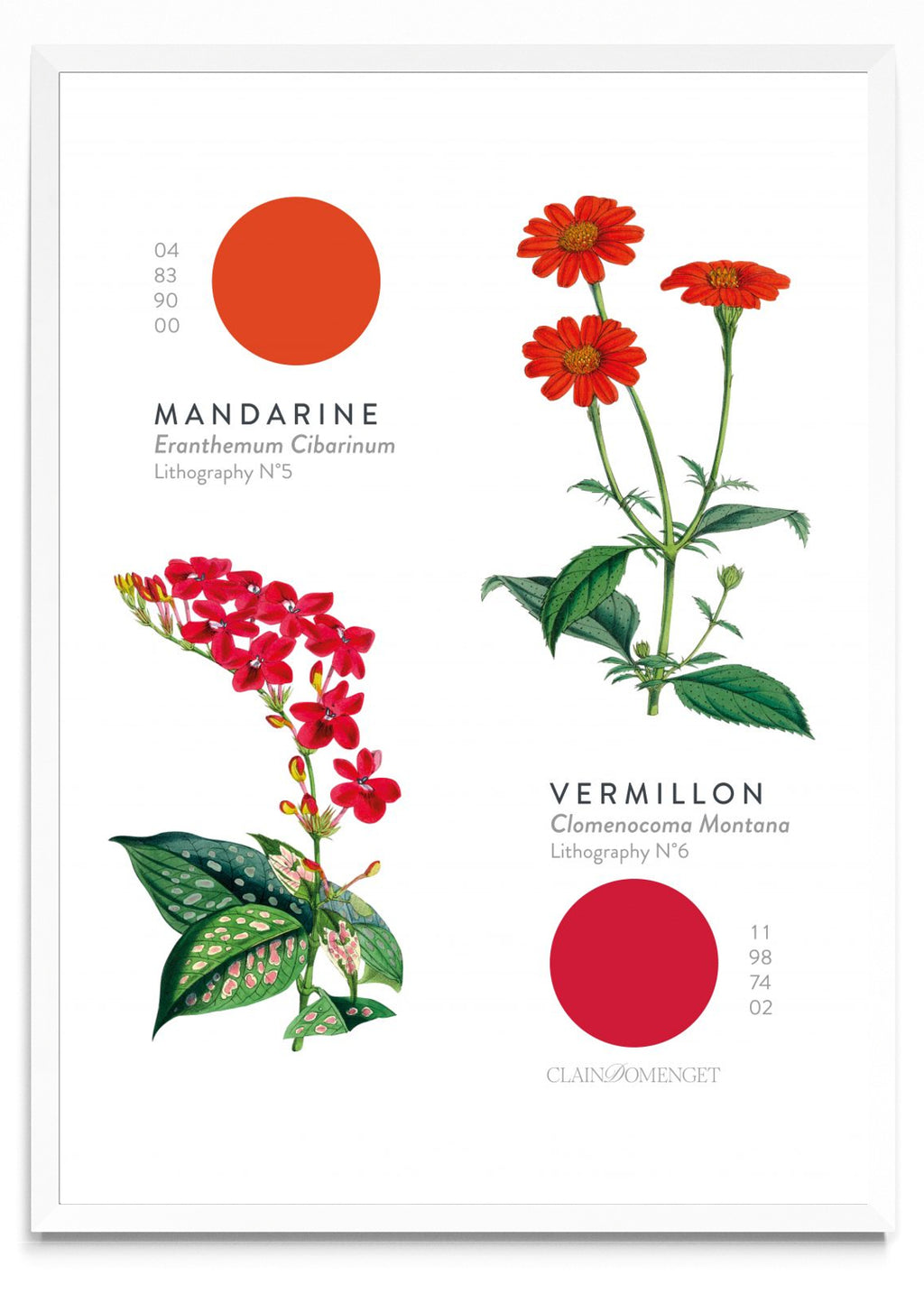FLEURS ET COULEURS - Retrato BL