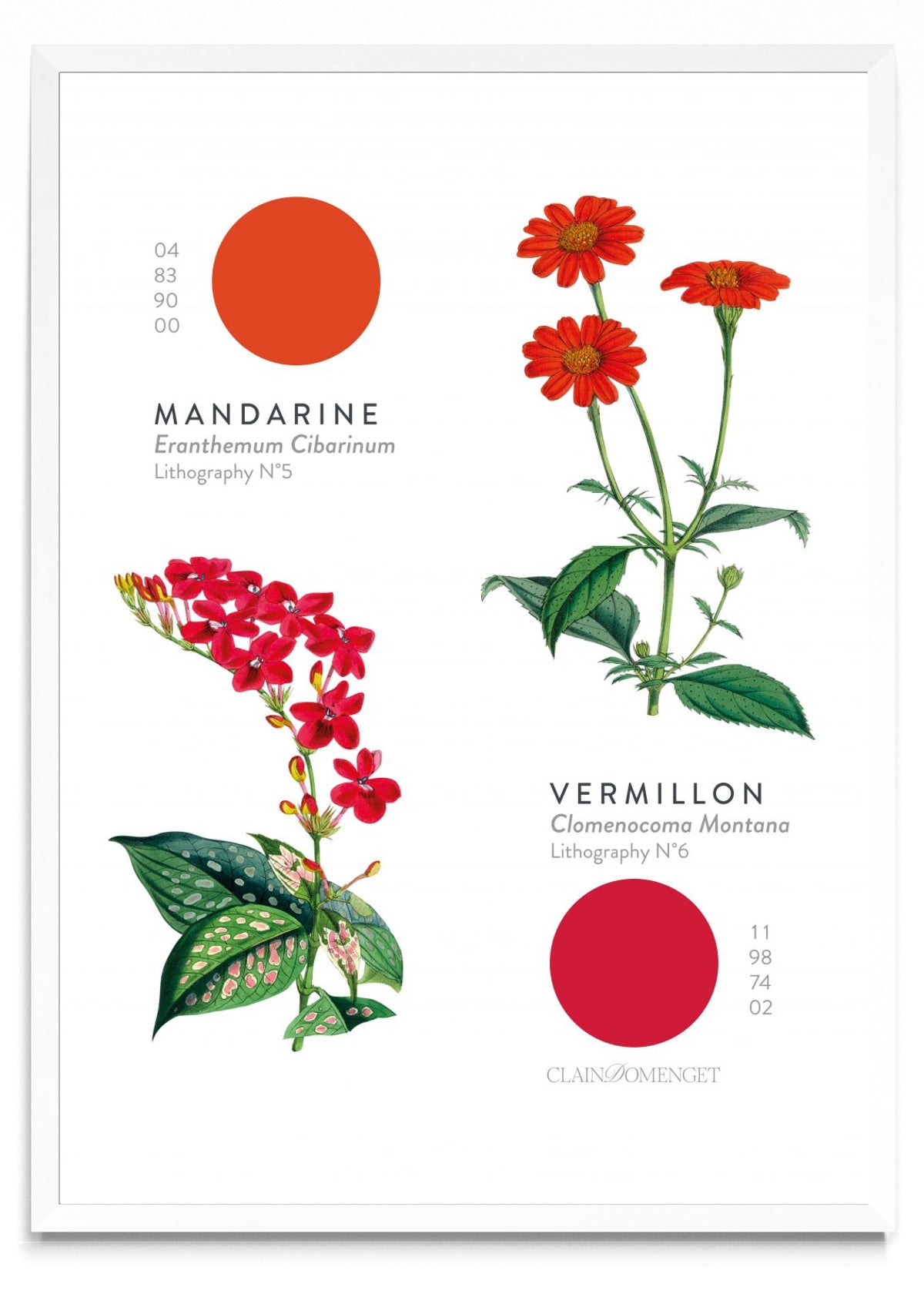 FLEURS ET COULEURS - Retrato BL
