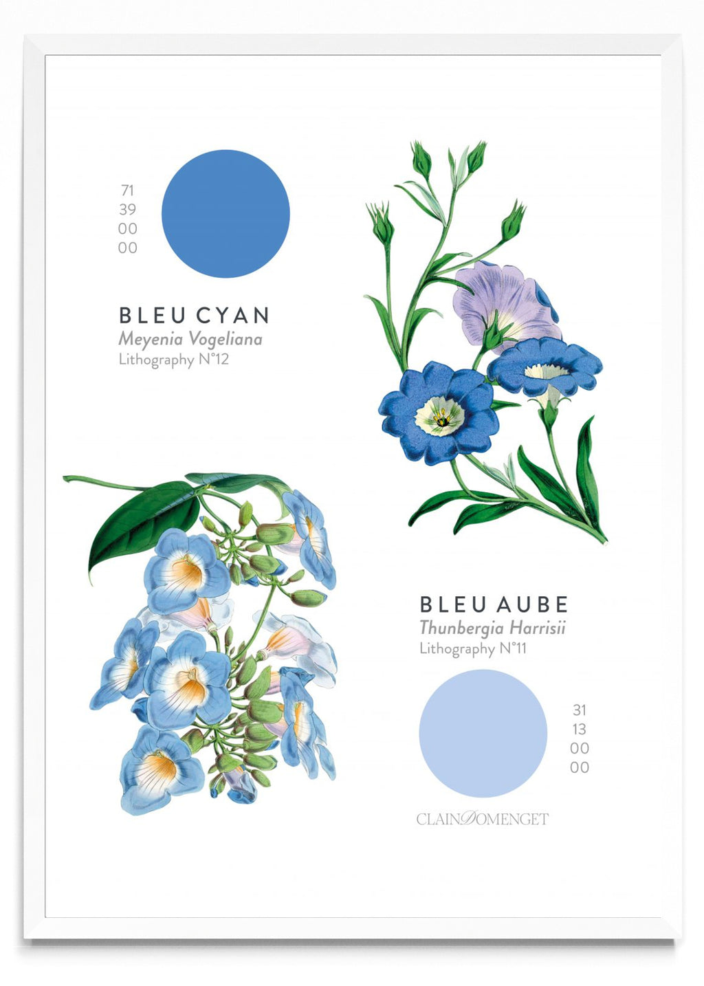 FLEURS ET COULEURS - Retrato BL