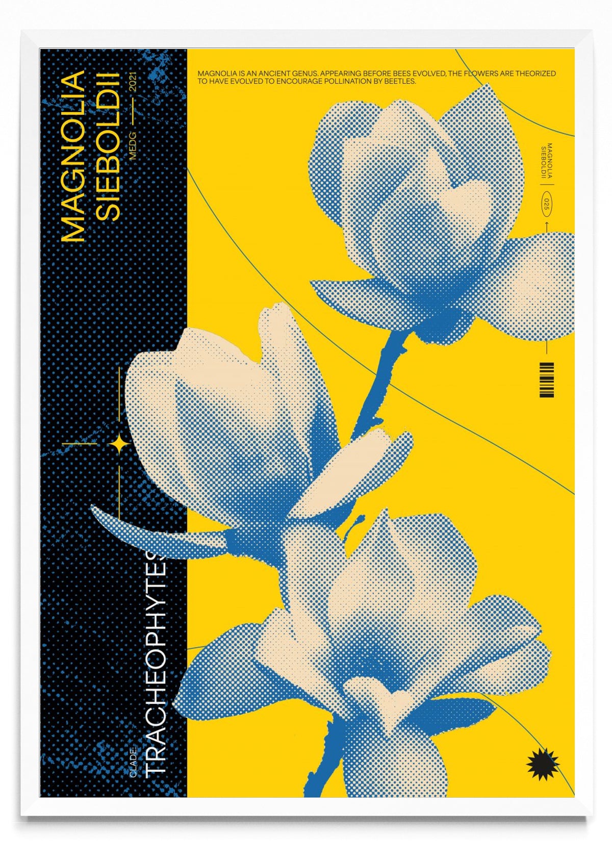 Magnolia - Retrato BL