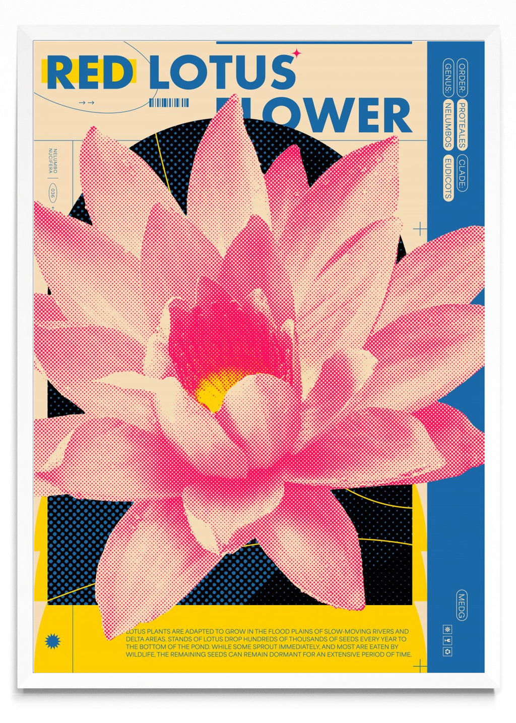 Red Lotus - Retrato BL