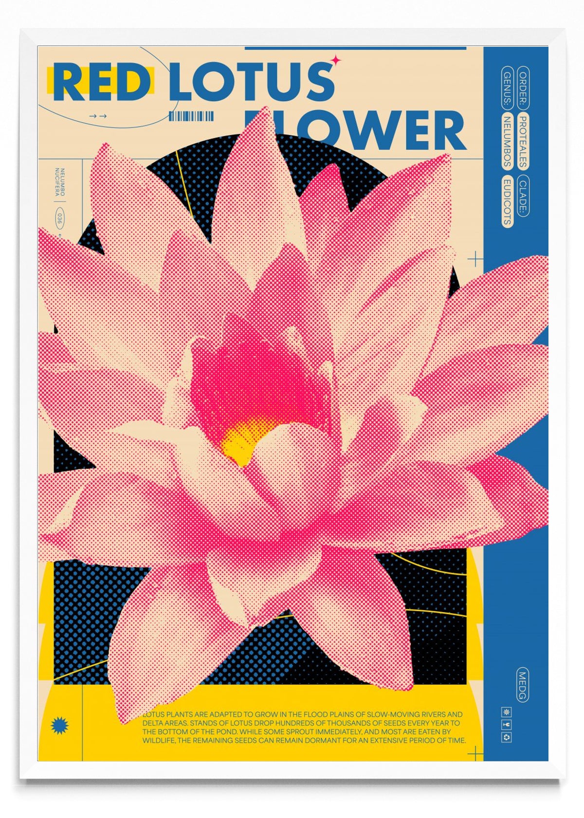 Red Lotus - Retrato BL