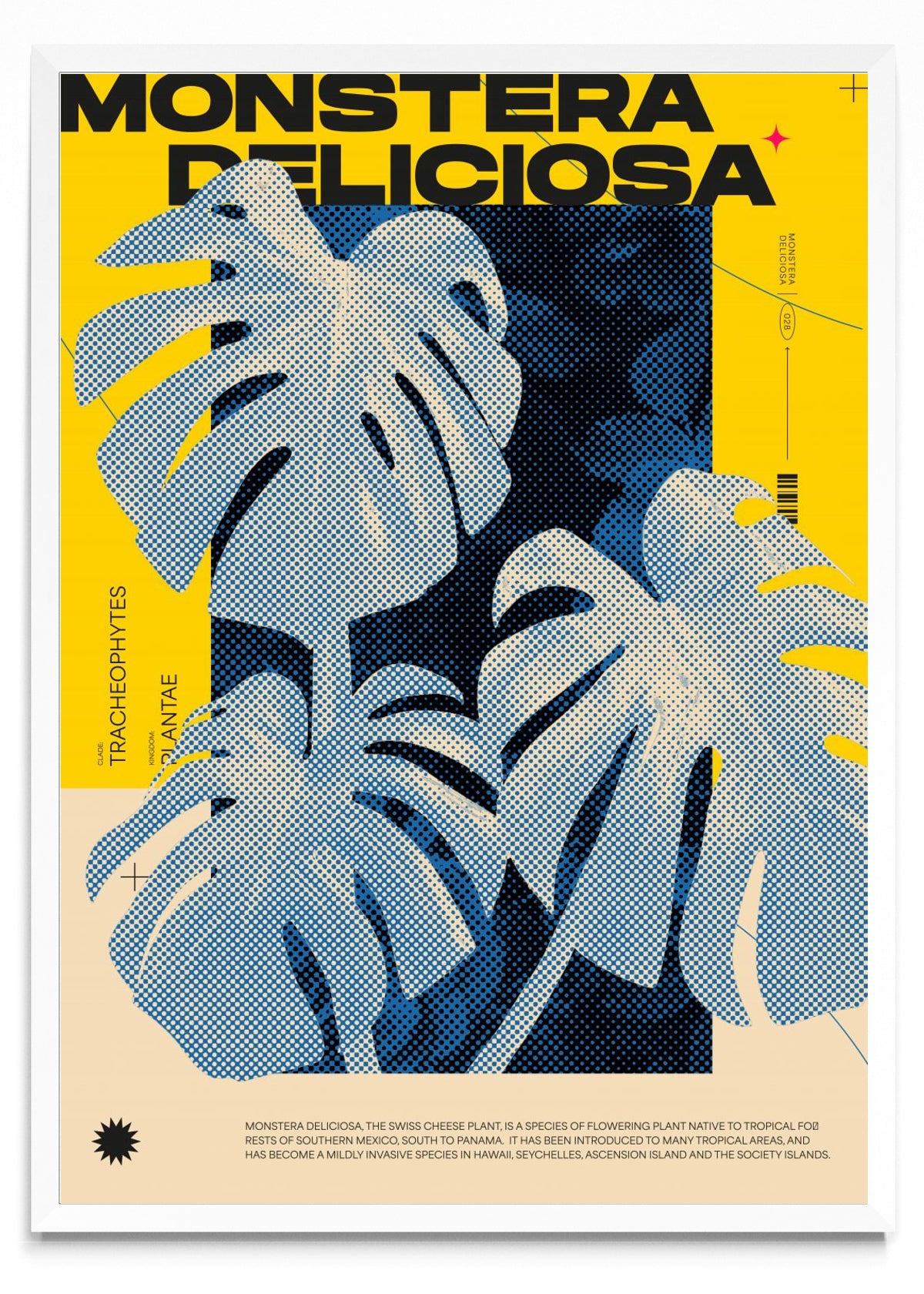Monstera Deliciosa - Retrato BL