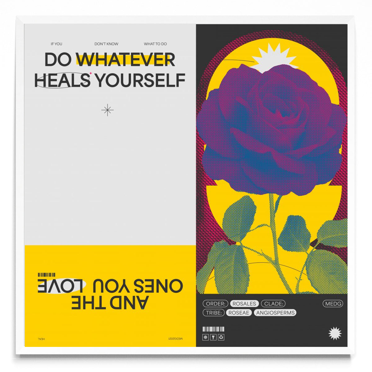 Heal - Cuadrado BL