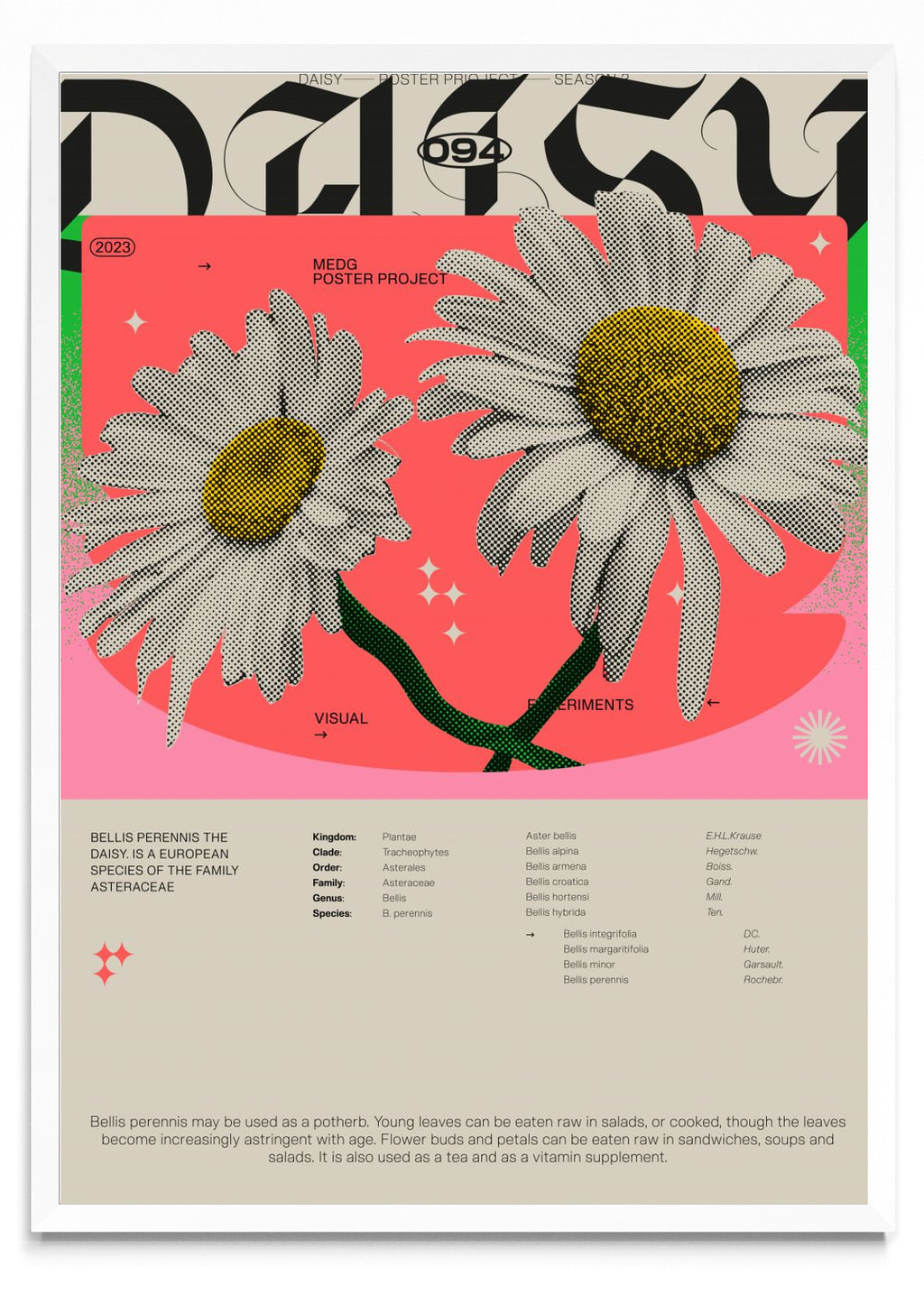 Daisy - Retrato BL