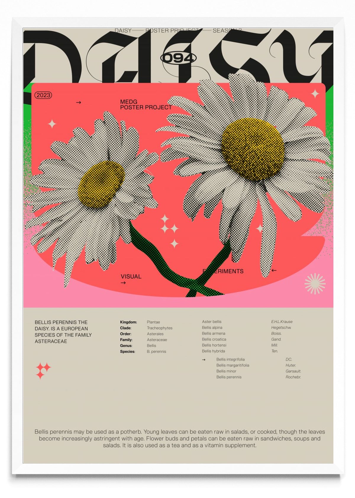 Daisy - Retrato BL