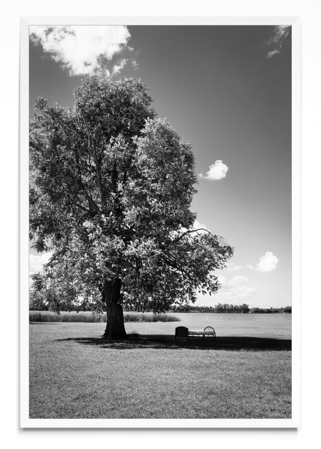 Descanso - FotoV BL