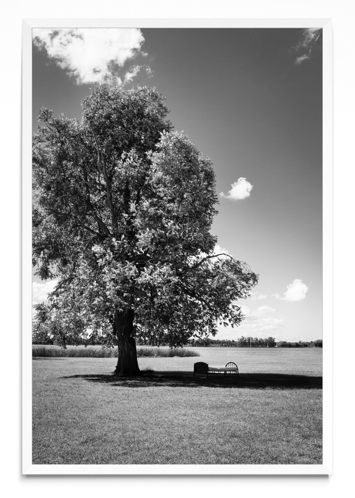 Descanso - FotoV BL