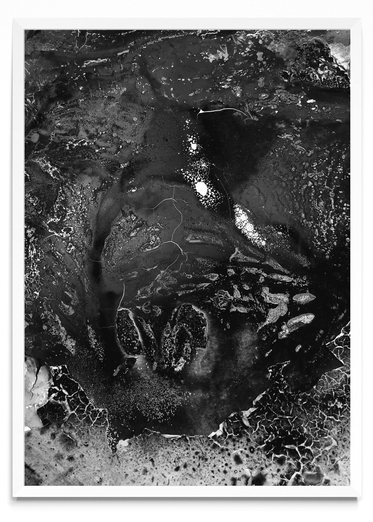 Superficies particulares - Retrato BL