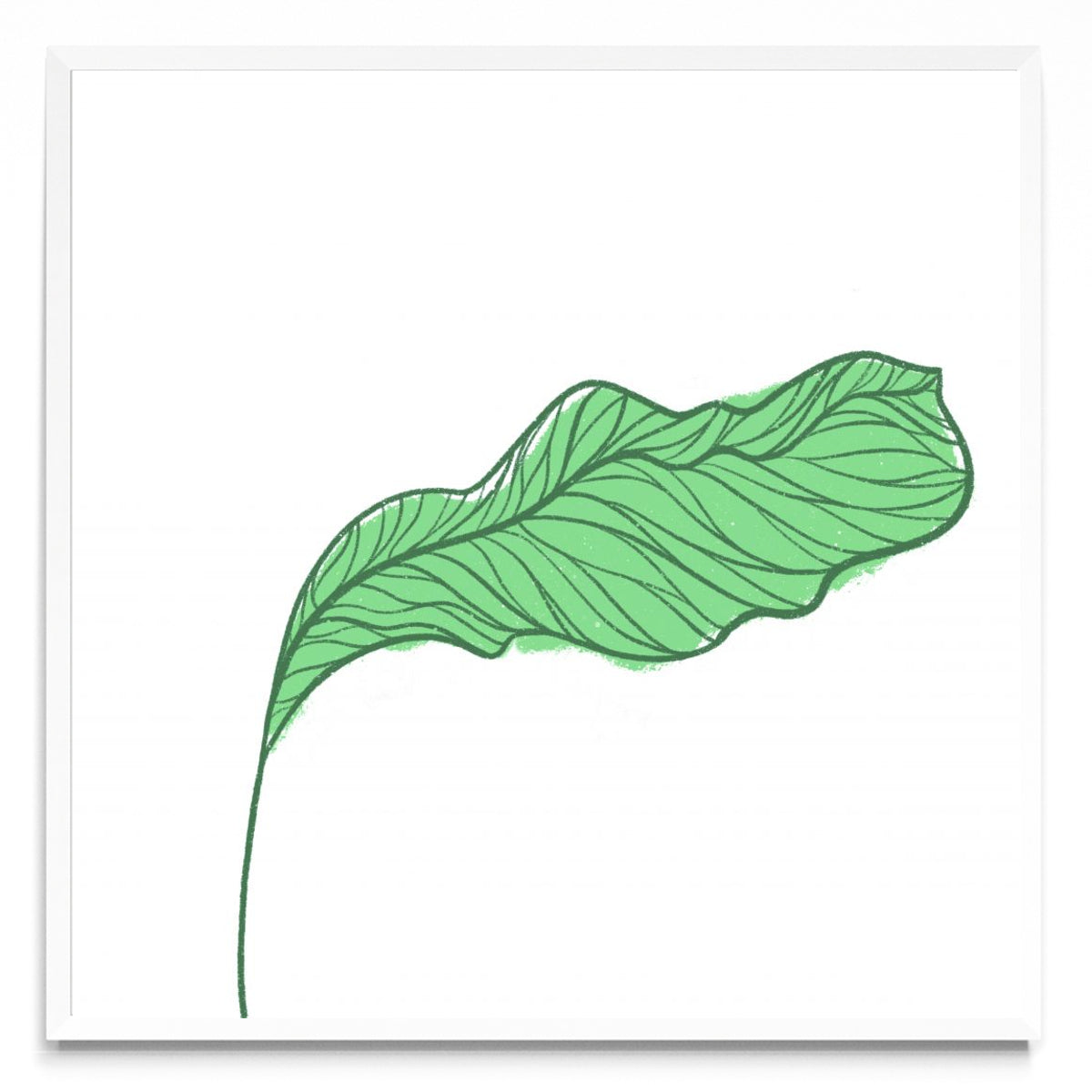 Botanic - Cuadrado BL