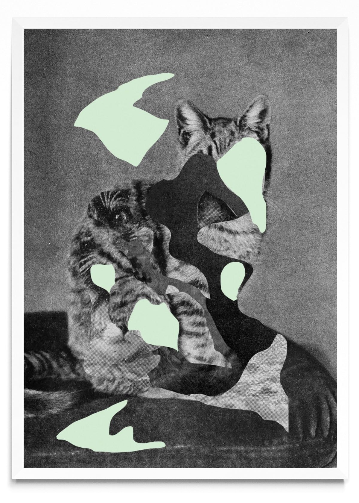 Gato - Retrato BL