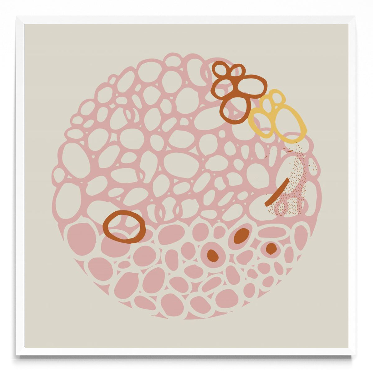 STONE CIRCLE - PALE PINK - Cuadrado BL