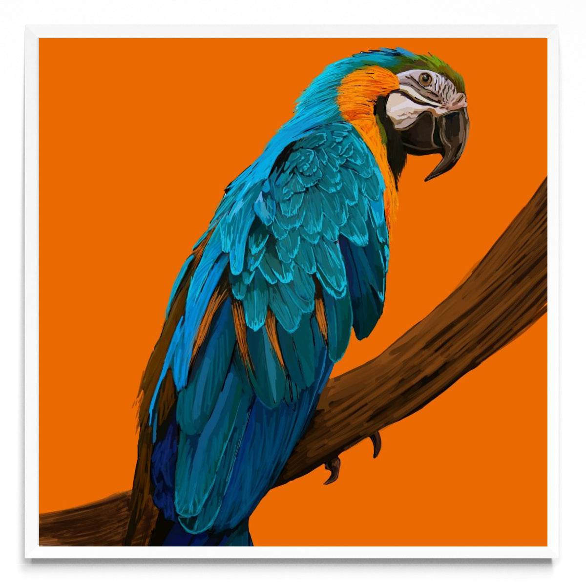 Animal #1 - Cuadrado BL
