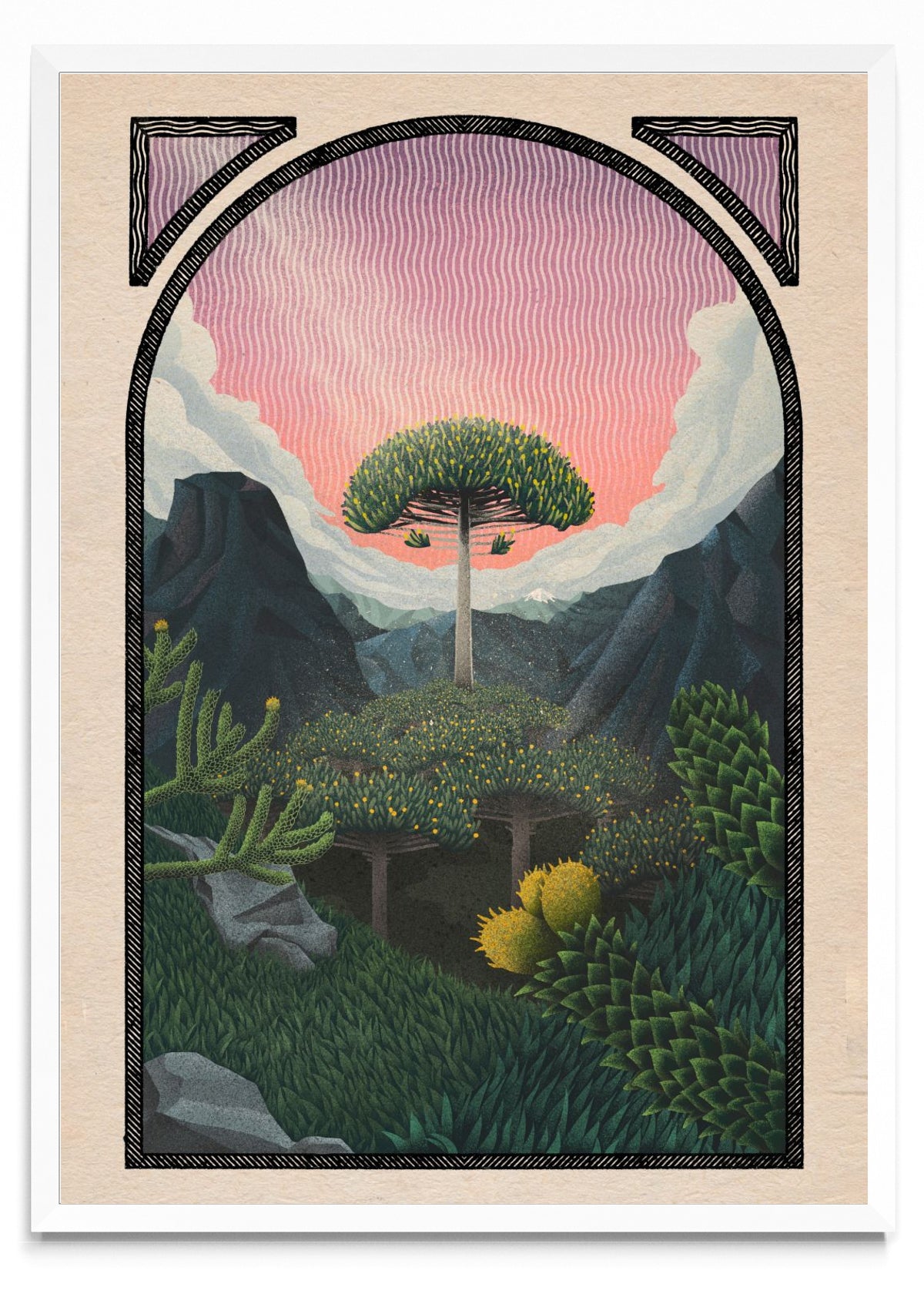 Trees of life - araucaria - Retrato BL
