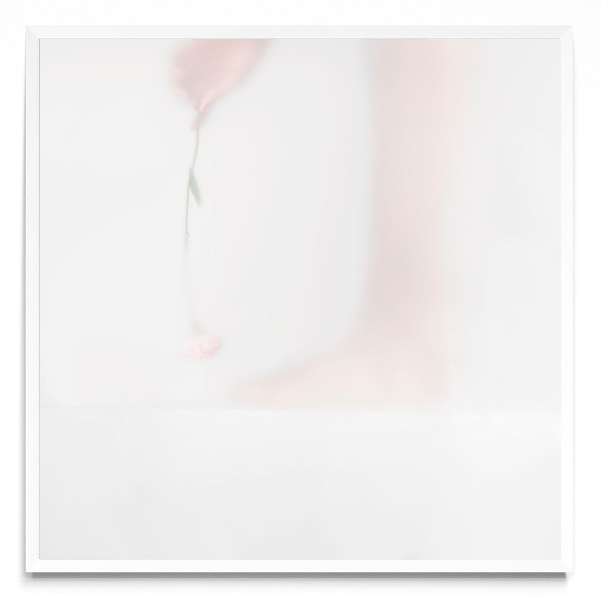 Aromas cotidianos - ritual II - Cuadrado BL