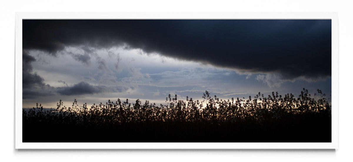 Cielito - Pano H BL