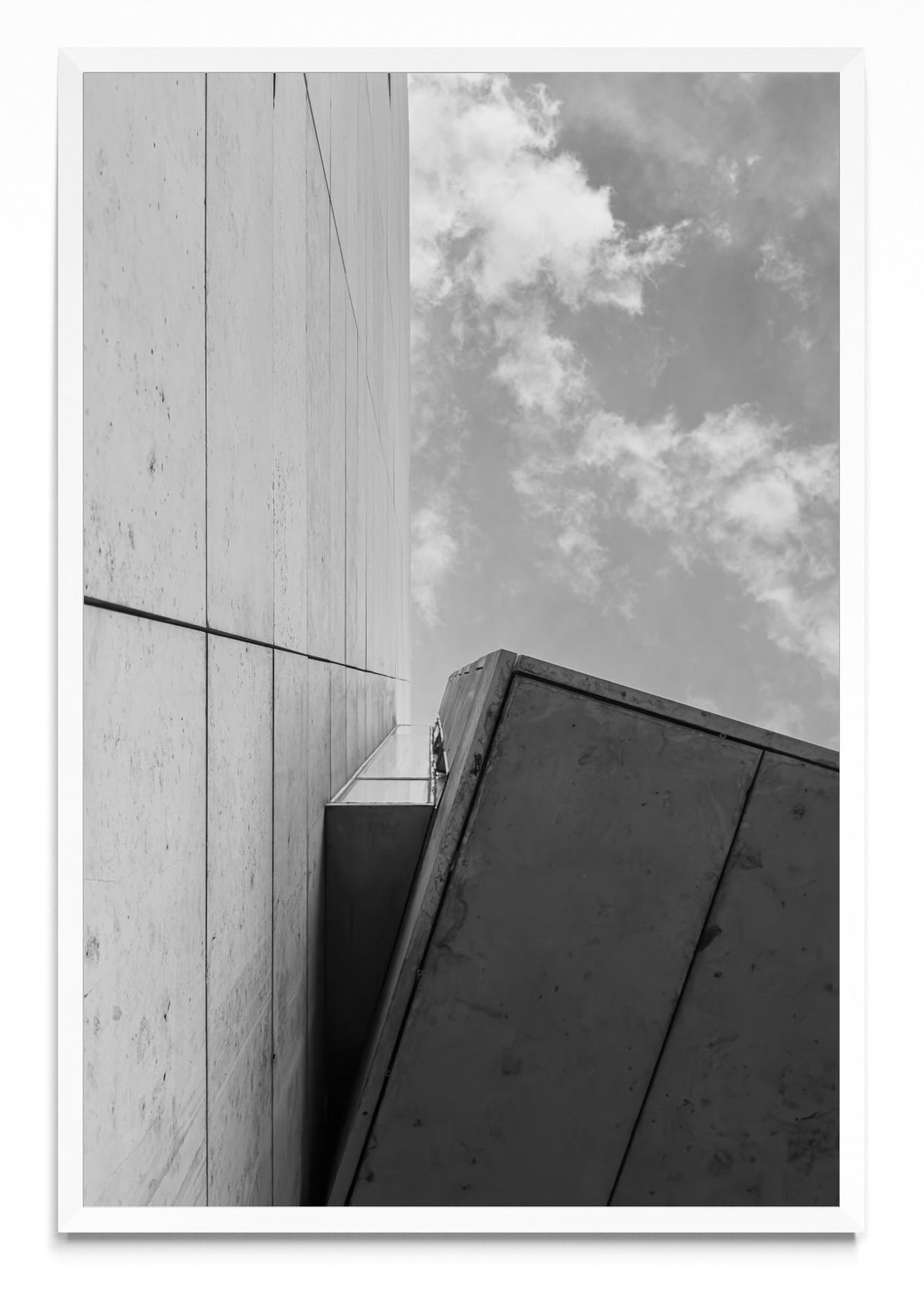 Malba. - FotoV BL