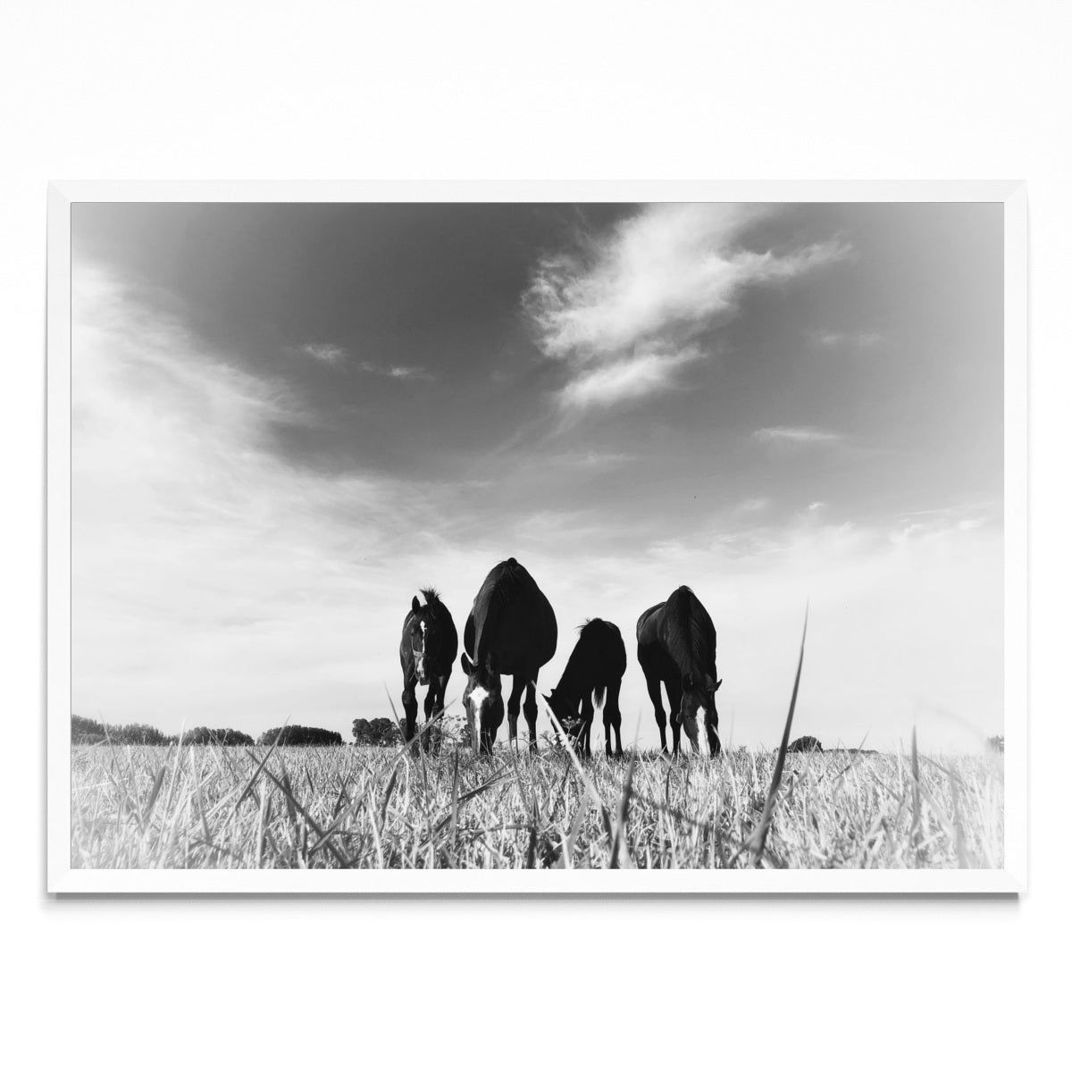 Tenedor libre - Paisaje BL