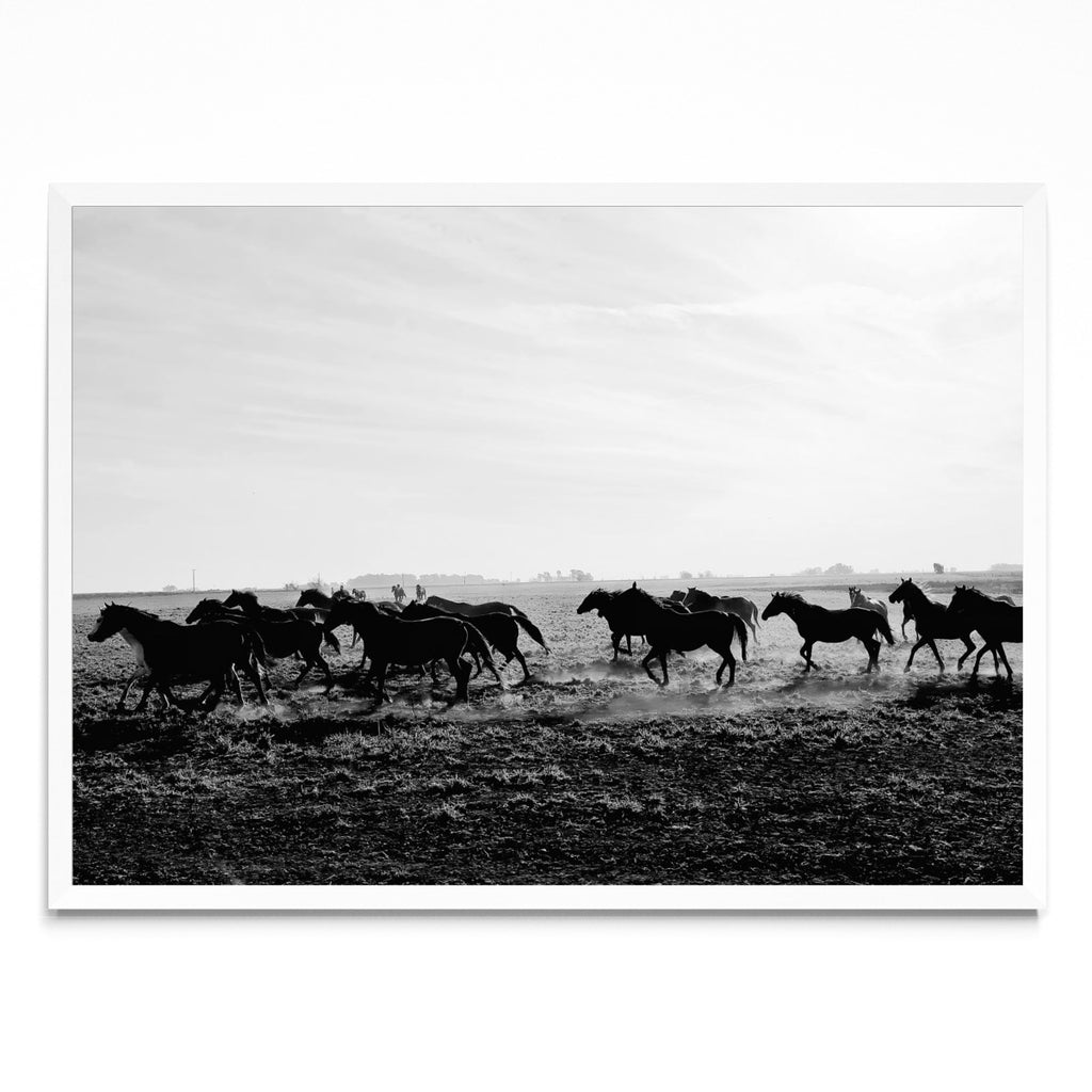 Vamos? - Paisaje BL