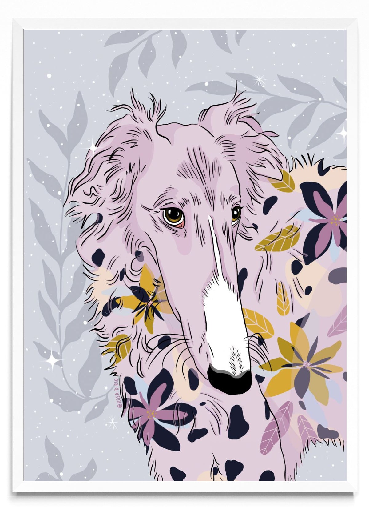 Galgos Mágicos - Retrato BL
