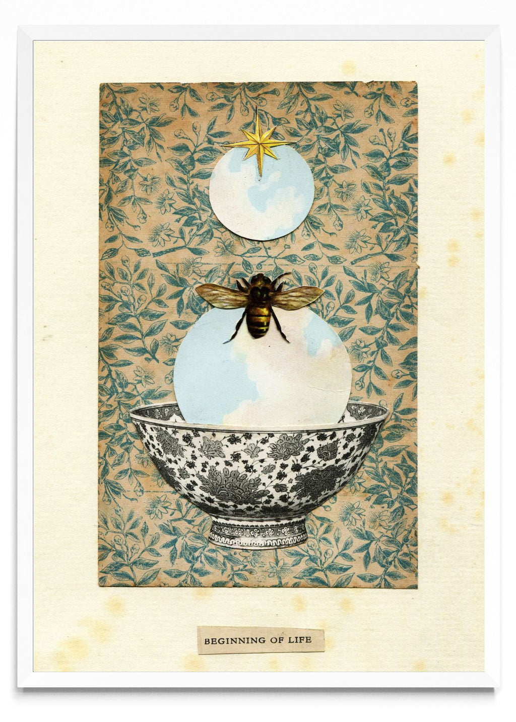 Beeginning of life - Retrato BL