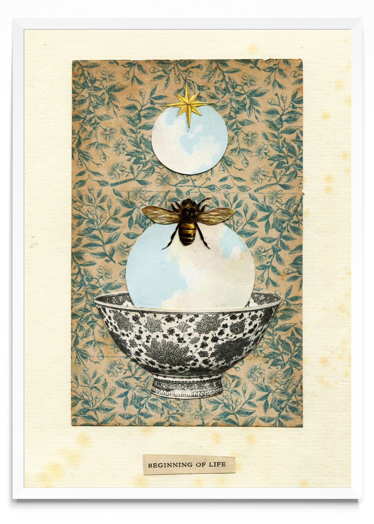 Beeginning of life - Retrato BL