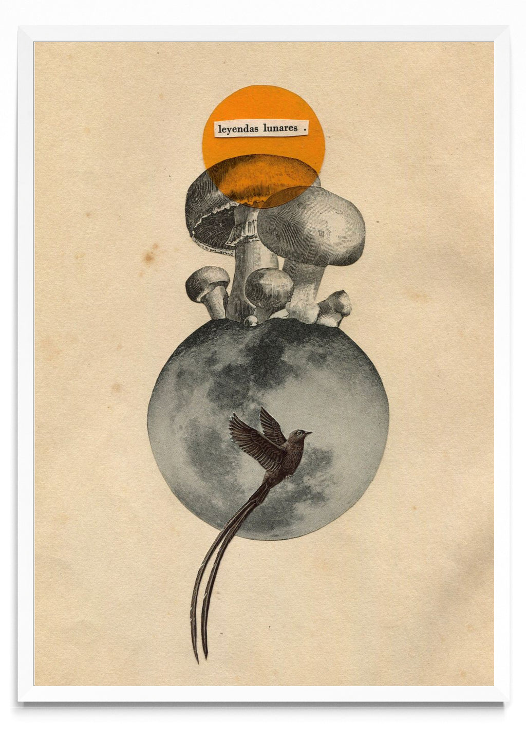 Leyendas Lunares - Retrato BL