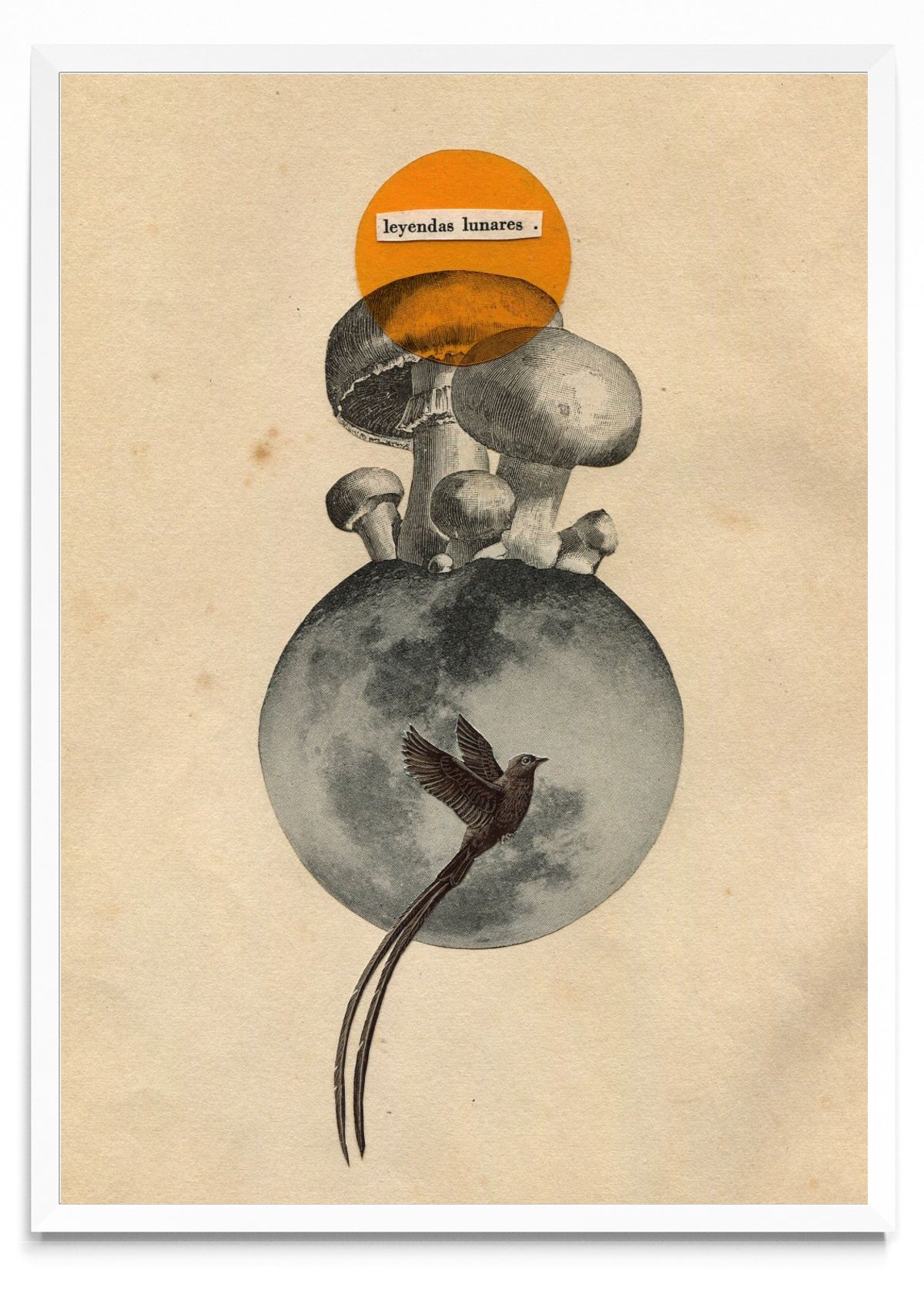 Leyendas Lunares - Retrato BL