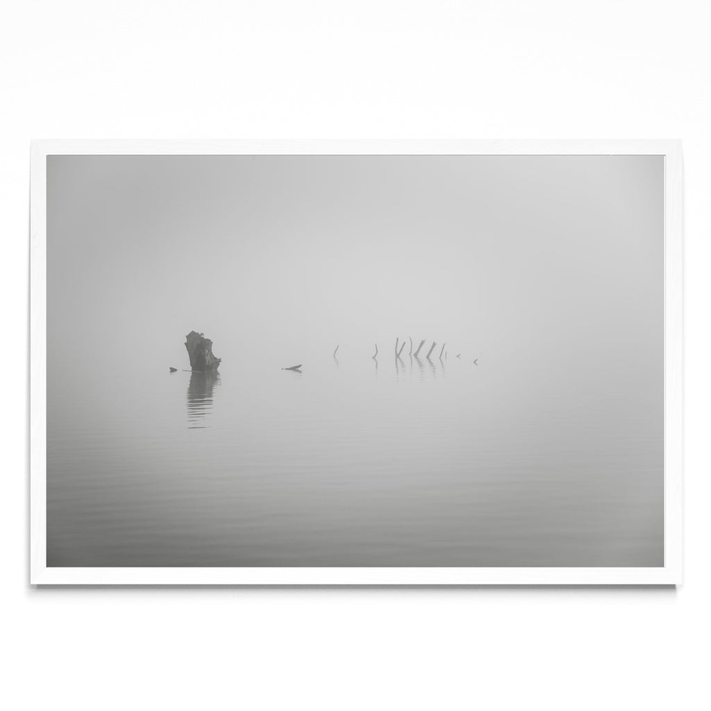 El esqueleto - FotoH BL