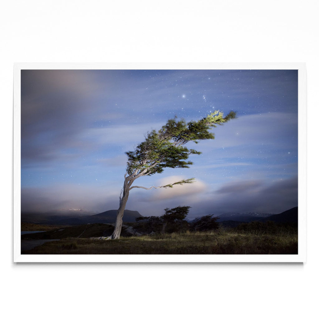 La caricia del viento - FotoH BL
