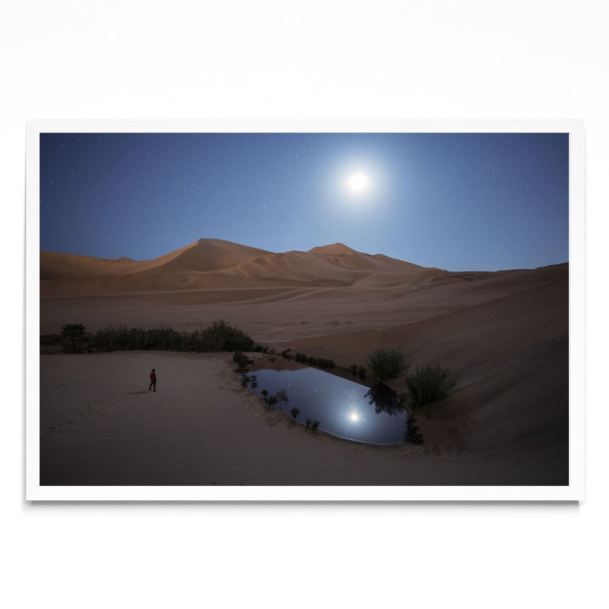 Oasis bajo la luz de la luna - FotoH BL