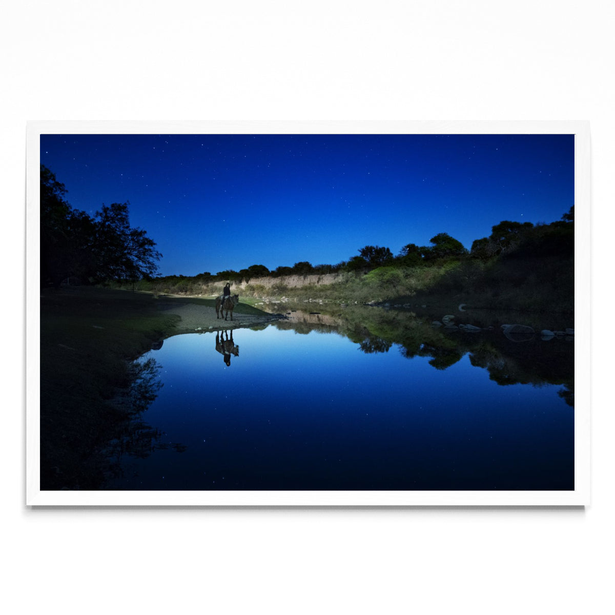 Caballo pastando estrellas - FotoH BL