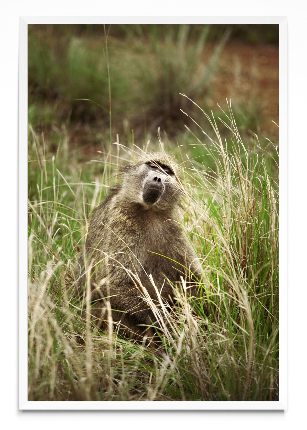 La caricia del viento - FotoV BL