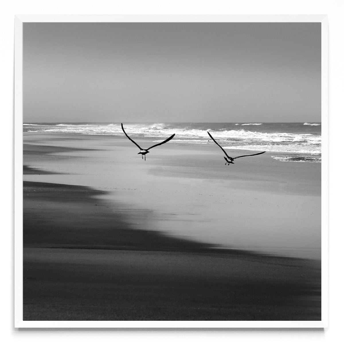 Vientos de libertad. - Cuadrado BL