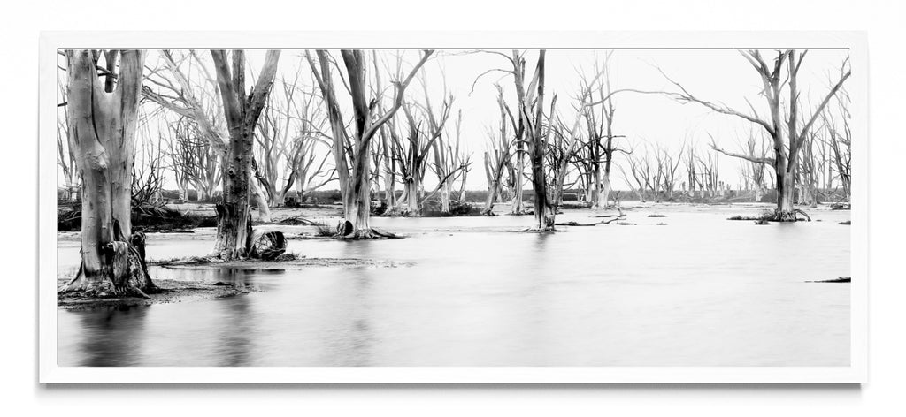 Suspiros de invierno. - Pano H BL