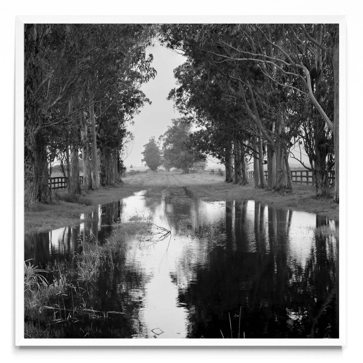 Reflejos del cielo. - Cuadrado BL