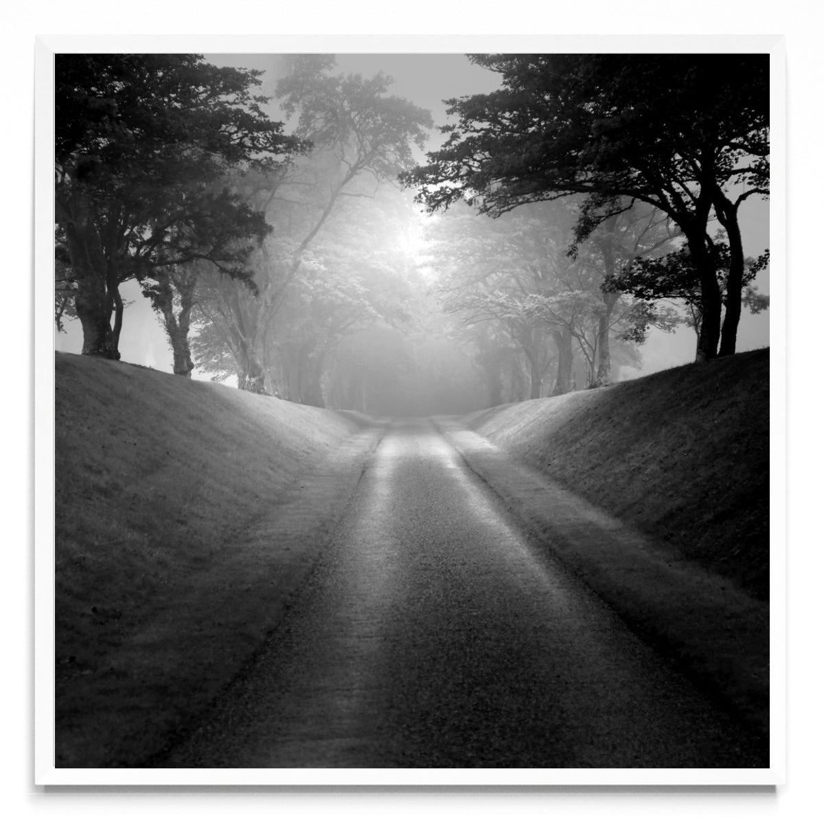 Memorias de un camino. - Cuadrado BL