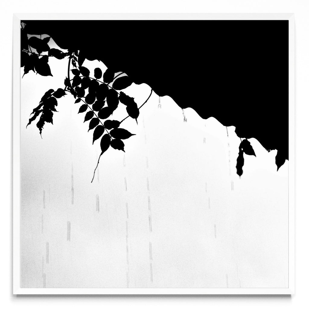 Lluvia en Blanco y Negro - 1 - Cuadrado BL