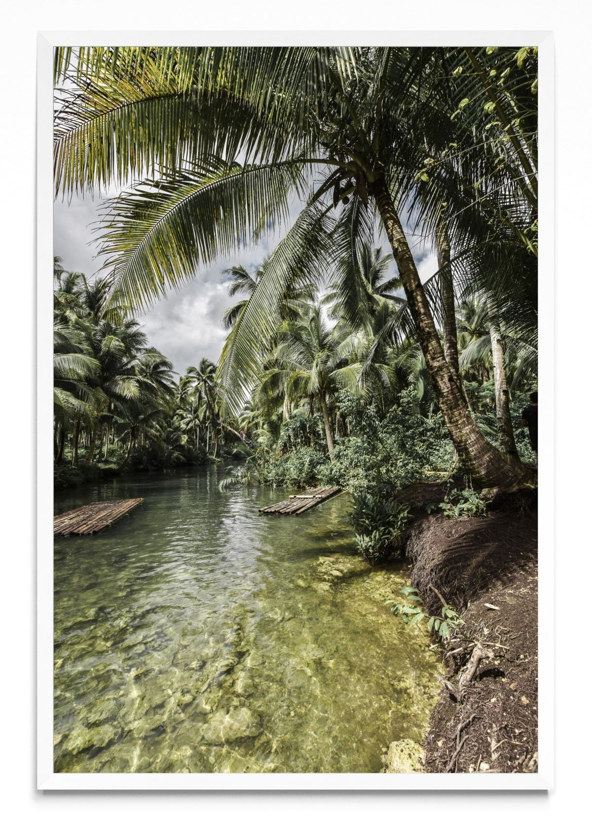 Loboc - FotoV BL