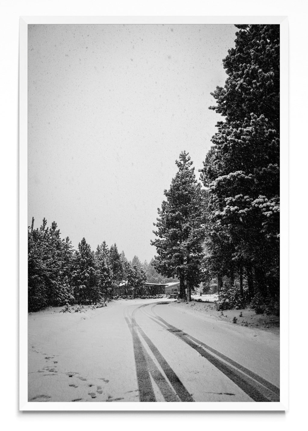 Invierno Patagónico - FotoV BL